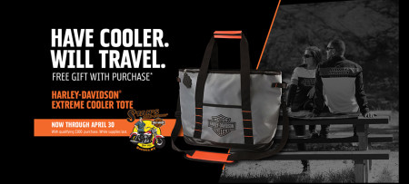 Spring 2019 Gift With Purchase Offer