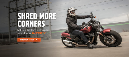 2019 SOFTAIL® MODEL ATTAINABILITY