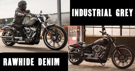 2019 SOFTAIL® MODEL ATTAINABILITY