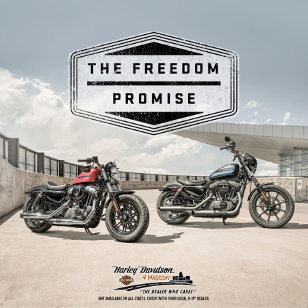 The 2019 Freedom Promise