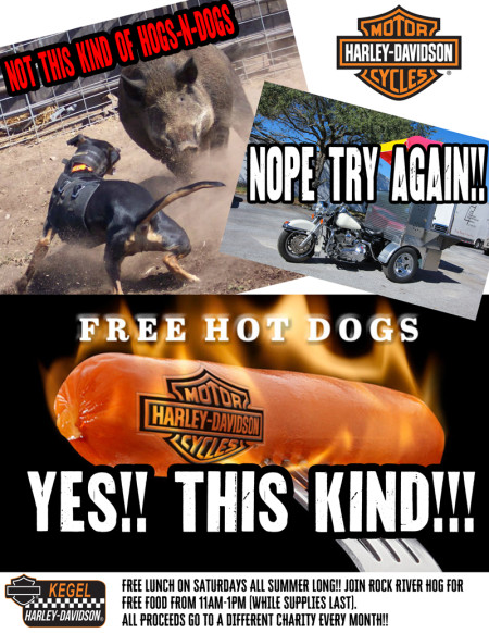 FREE HOT DOGS
