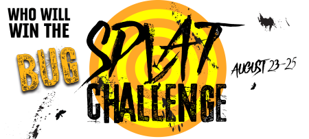 Bug Splat Challenge