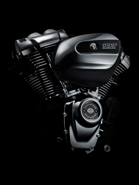 Harley-Davidson® Milwaukee-Eight™ Engine