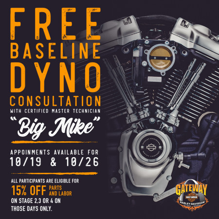 Dyno Consultation