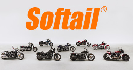 Softail Build Week 2!