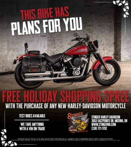 Free Holiday Shopping Spree