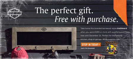 Holiday Free Gift Offer