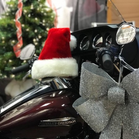Pictures with Santa