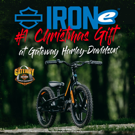 IRONe Electric Balance Bike