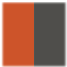 SCORCHED ORANGE/SILVER FLUX 2020 PAINT COLOR