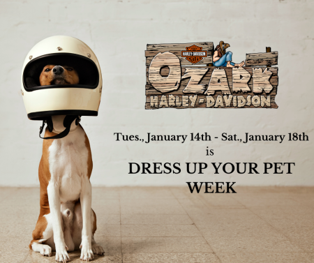 Dress Up Your Pets Week!