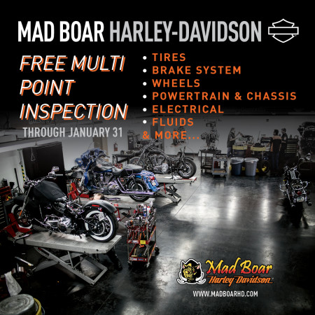 FREE Multi Point Inspection