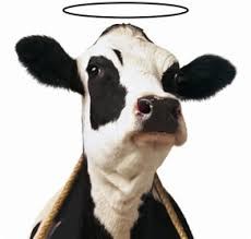 Chik-Fil-A Ride