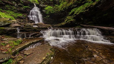 Rickett's Glen Ride