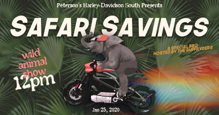 Safari Savings!