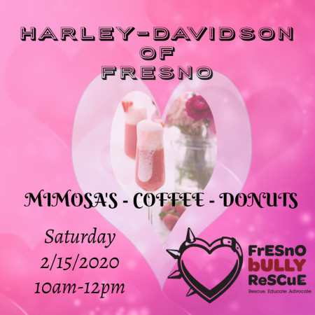 Donuts and Mimosa's