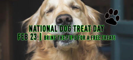 National Dog Treat Day