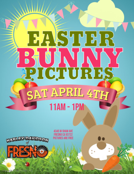 EASTER BUNNY PICTURES
