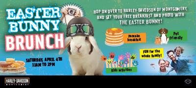 Easter Bunny Brunch!