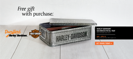 Spring Gift with Purchase - Premium Galvanized Metal Tray