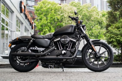 2019 Harley-Davidson® Iron 883™