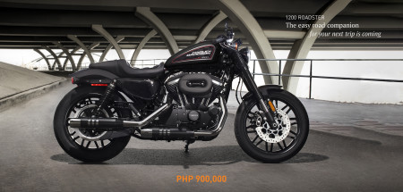 Roadster XL1200CX