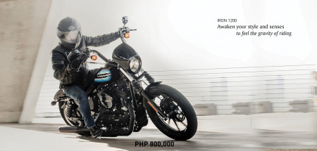 Sportster Iron 1200 XL1200NS
