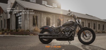 Softail Street Bob