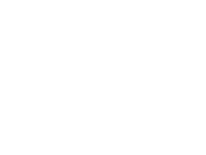Harley-Davidson® Panama logo