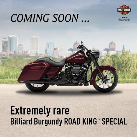 ROAD KING™ SPECIAL Color : Billiard Burgundy
