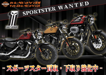 スポーツスター買取・下取り強化中!!