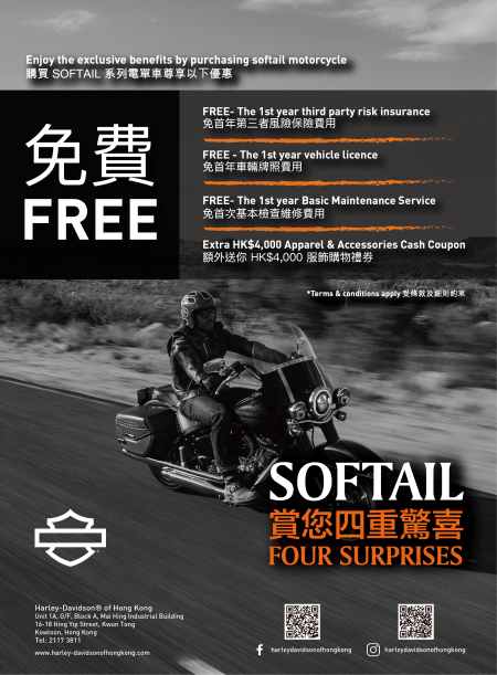 SOFTAIL FOUR SURPRISES
