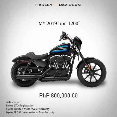 MY 2019 Iron 1200