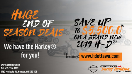 2019 New 2019 Promotion