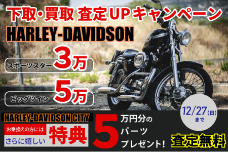 ハーレー下取&買取強化中!【高価買取】