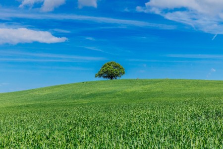Some things to think about if you are thinking of acquiring a company
