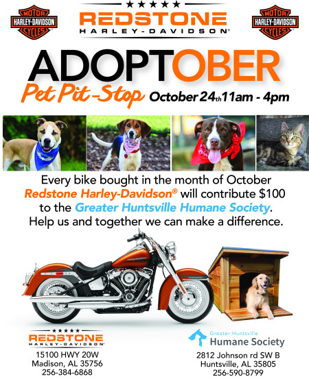 Adoptober Pet Pit Stop