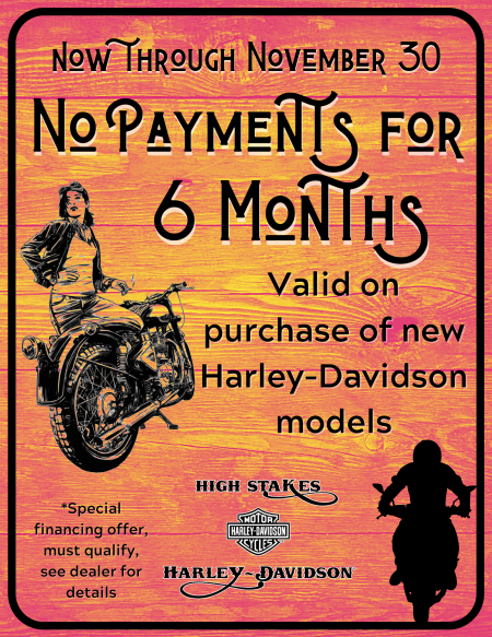 November sales promo 2020
