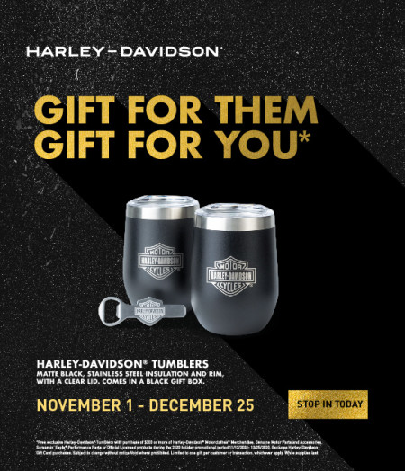 Holiday 2020 FREE Gift with Purchase