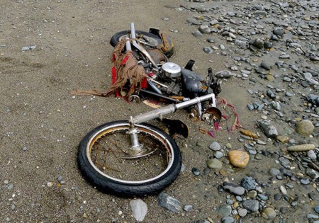 Paying Tribute a Harley Story