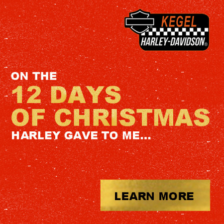 12 Days of Christmas