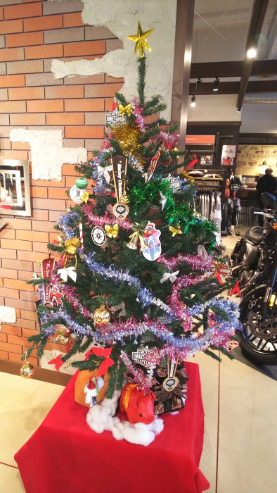 クリスマスプレゼントに!?