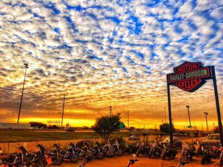 Why Shop Dallas Harley-Davidson® Christmas 2020