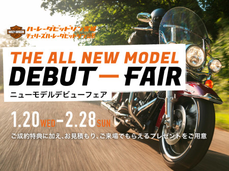 2021 THE ALL NEW MODEL DEBUT-FAIR