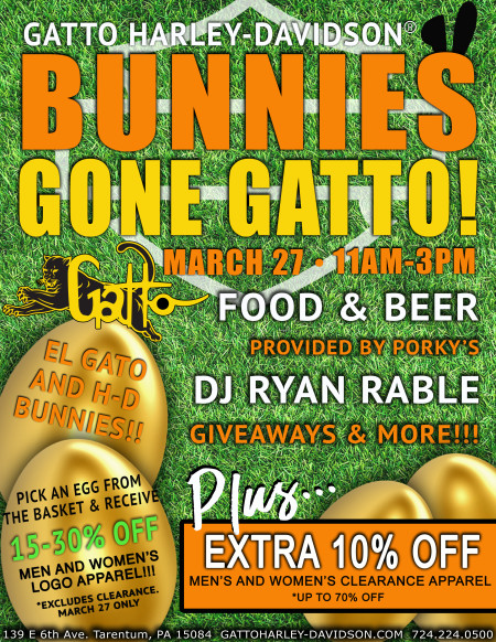 Bunnies Gone Gatto!