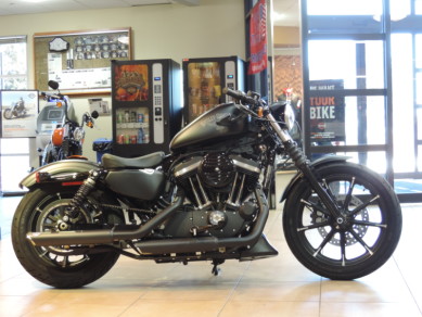 2017 Harley-Davidson® HD Sportster XL883N Iron 883™