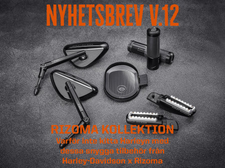Nyhetsbrev V.12