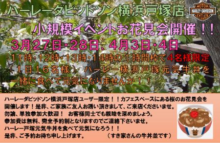 ハーレーダビッドソン横浜戸塚店ユーザー様限定・小規模イベントお花見会開催致しました。