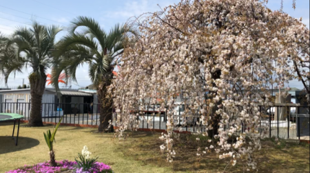 46周年創業感謝祭のご案内