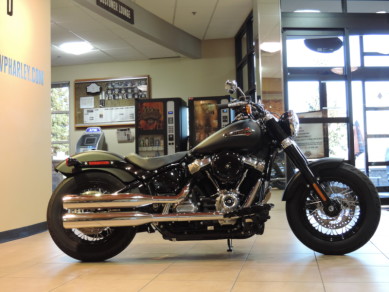 2020 Harley-Davidson HD Softail FLSL Slim
